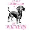 Cool Dog Design - DTF Ready To Press - DTF Dallas