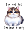 Fluffy Cat Design - DTF Ready To Press - DTF Dallas