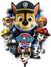 Paw Patrol Design - DTF Ready To Press - DTF Dallas