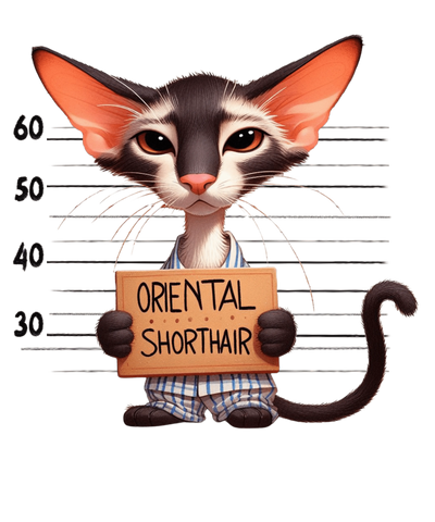 Oriental Shorthair Cat Design - DTF Ready To Press - DTF Dallas