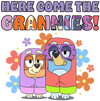Here Come The Grannies Bluey Design - DTF Ready To Press - DTF Dallas