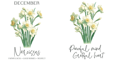 16 oz Libbey Cup Wrap - December Narcissus | DTF Dallas - DTF Dallas 