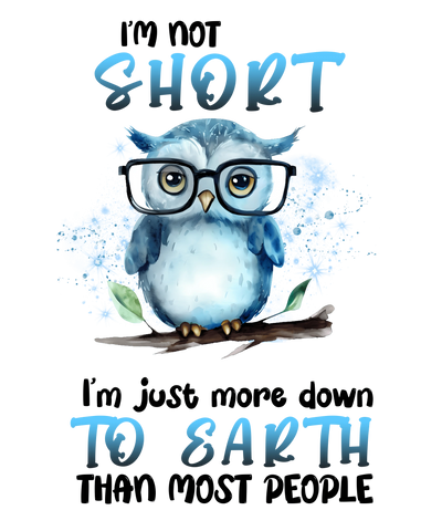 Funny Animal Owl Design - DTF Ready To Press - DTF Dallas 