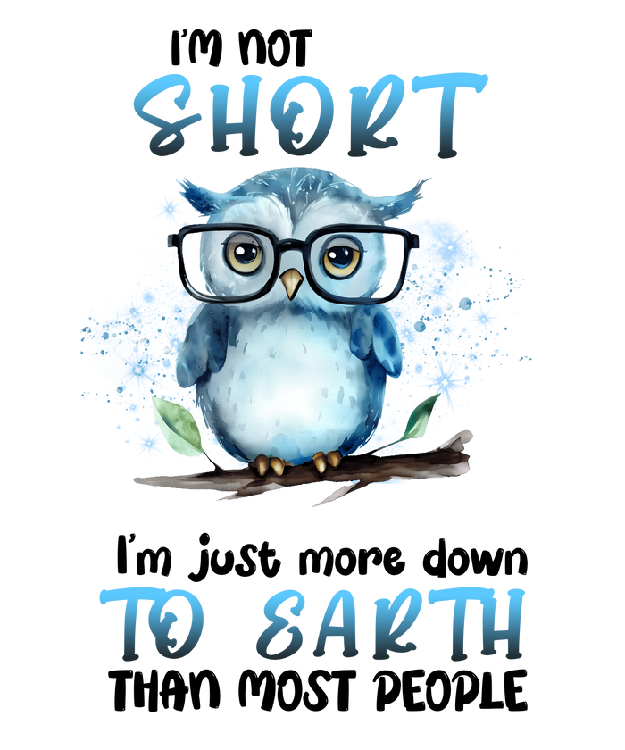 Funny Animal Owl Design pressed on a garment