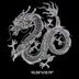 Dragon 21066 Ready to Press Rhinestone Transfer