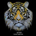24010 Tiger Rhinestone | DTF Dallas
