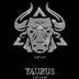 Taurus 25063 Ready to Press Rhinestone Transfer - DTF Dallas 