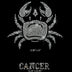 Cancer 25061 Ready to Press Rhinestone Transfer - DTF Dallas 