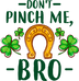 Don't Pinch Me Bro Saint Patrick's Day Design - DTF Ready To Press