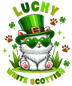 Cute Lucky Scottish Cat Saint Patricks Day Design - DTF Ready To Press