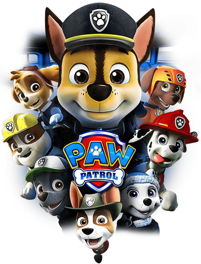 Paw Patrol Design pressed on a garment