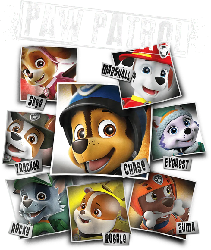 Paw Patrol Party Design pressed on a garment