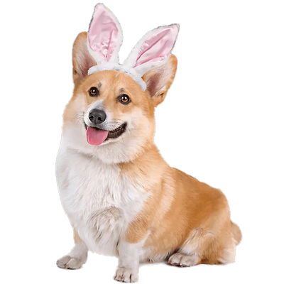 Corgi Easter Design - DTF Ready To Press - DTF Dallas 