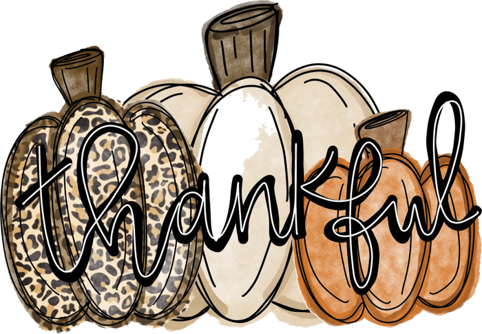 Thanksgiving Pumpkin Design pressed on a garment