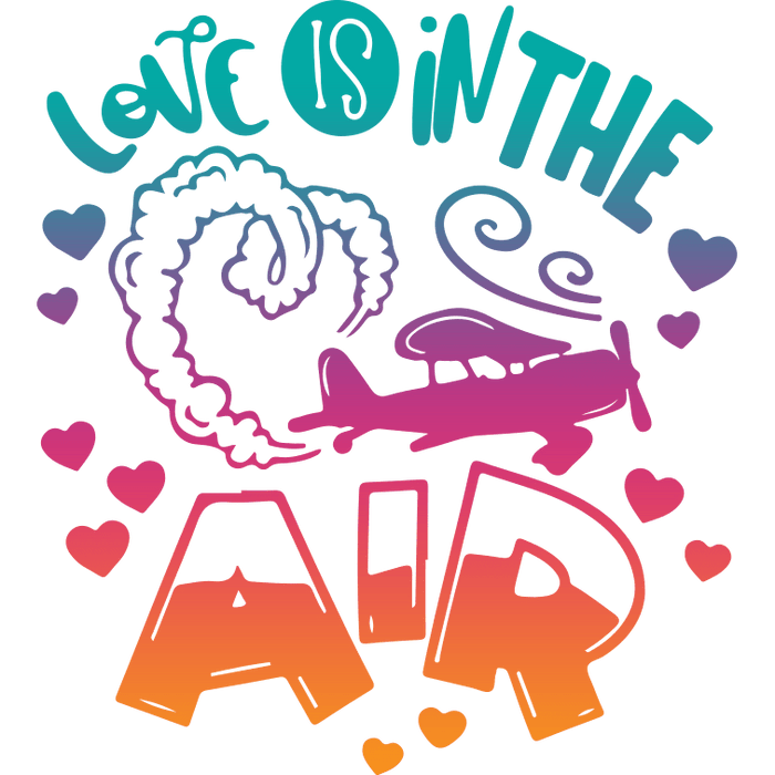 Valentine's Day Plane Design pressed on a garment