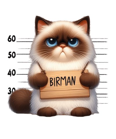 Birman Cat Lover Design - DTF Ready To Press - DTF Dallas 