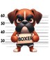 Angry Boxer Dog Design - DTF Ready To Press