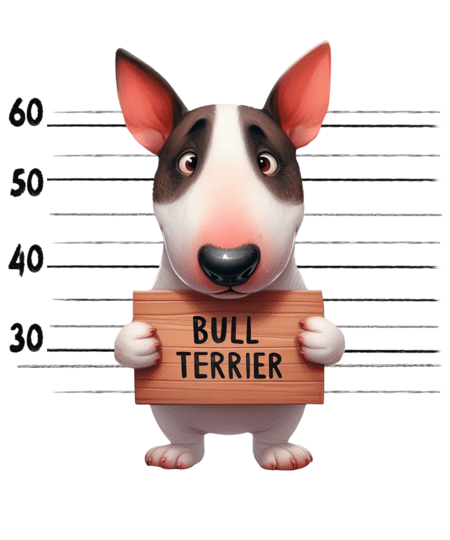 Bull Terrier Sad Dog Design - DTF Ready To Press