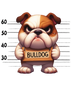 Bulldog Design - DTF Ready To Press