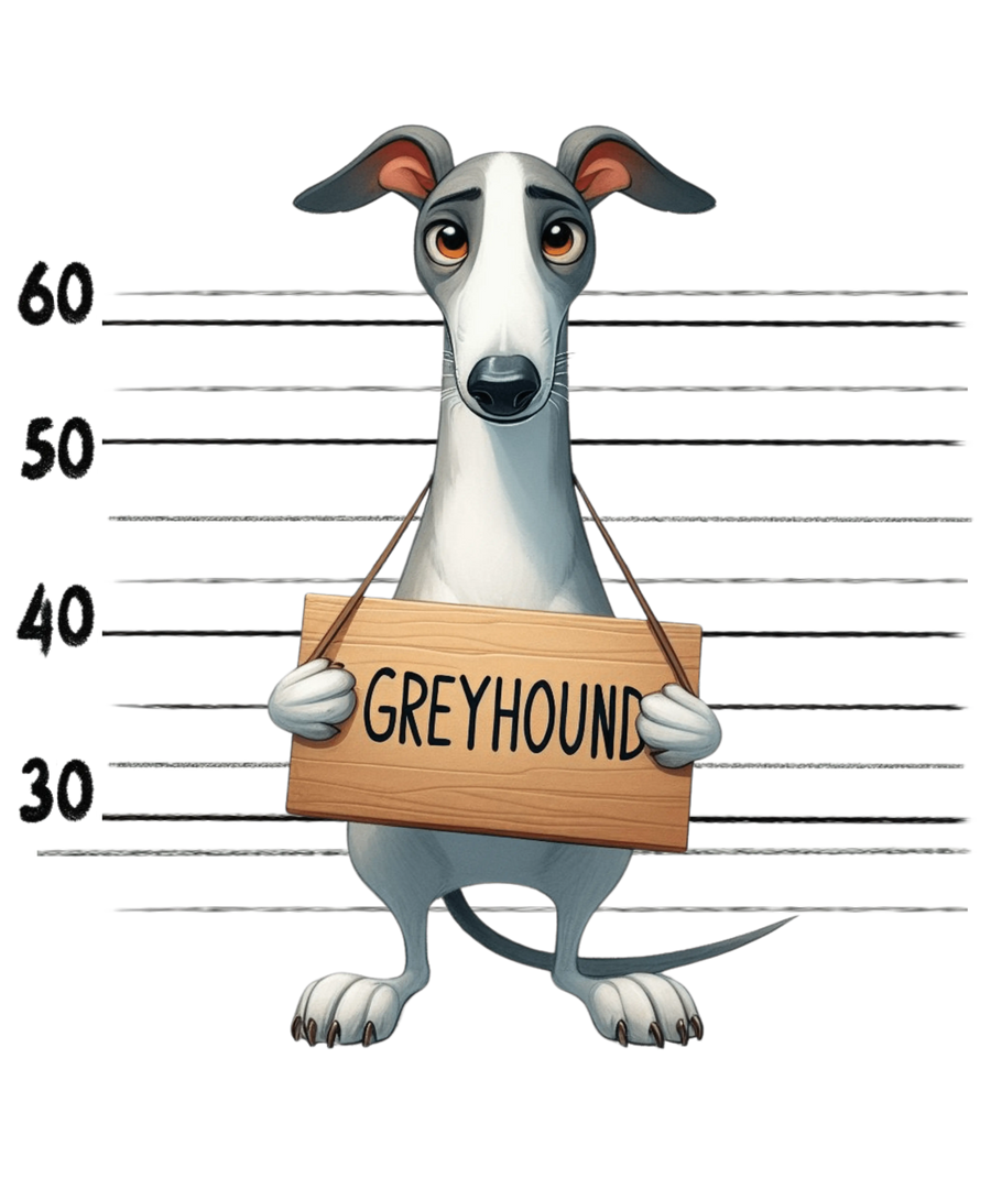 Greyhound Design - DTF Ready To Press