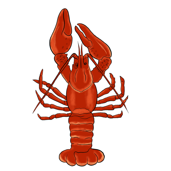 Mardi Gras Crawfish Design pressed on a garment