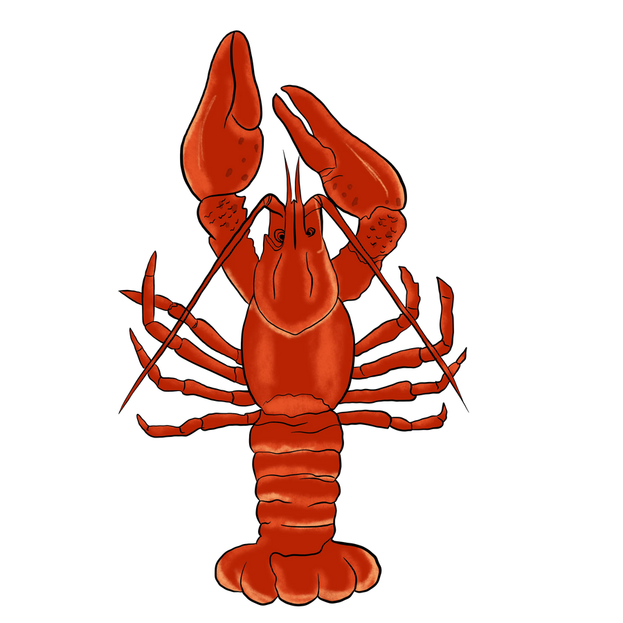 Mardi Gras Crawfish Design - DTF Ready To Press