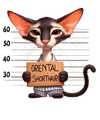 Oriental Shorthair Cat Design - DTF Ready To Press