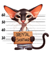 Oriental Shorthair Cat Design - DTF Ready To Press