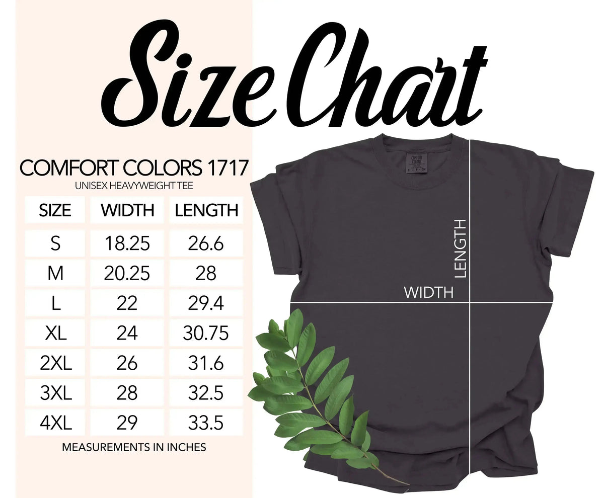 Comfort Colors 1717 | Dyed Heavyweight T-Shirt 1717CL - 2XL - DTF Dallas 