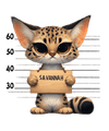 Savannah Cat Design - DTF Ready To Press