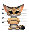 Savannah Cat Design - DTF Ready To Press