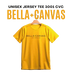 Bella + Canvas 3001CVC | Unisex Jersey Tee 3001 CVC - DTF Dallas 