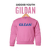 Gildan 18000B Youth Sweatshirt - DTF Dallas 