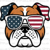 Independence Day 4th of July Designs Digital PNG - DTF Dallas 