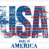 Independence Day 4th of July Designs Digital PNG - DTF Dallas 