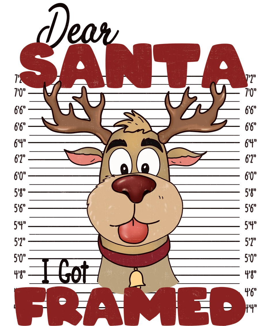 Dear Santa I Got Framed Christmas Design | DTF Dallas