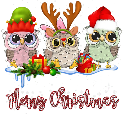 Merry Christmas Owl Design - DTF Ready To Press - DTF Dallas 