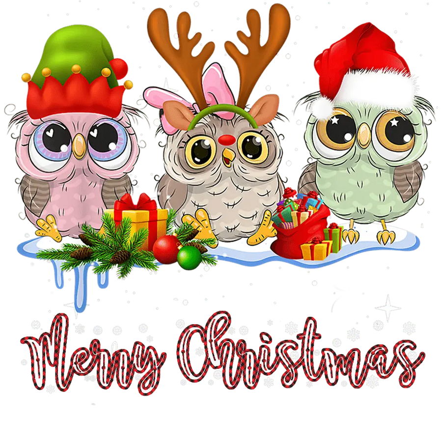 Merry Christmas Owl Design - DTF Ready To Press