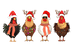 Funny Cockerel Christmas Design - DTF Ready To Press