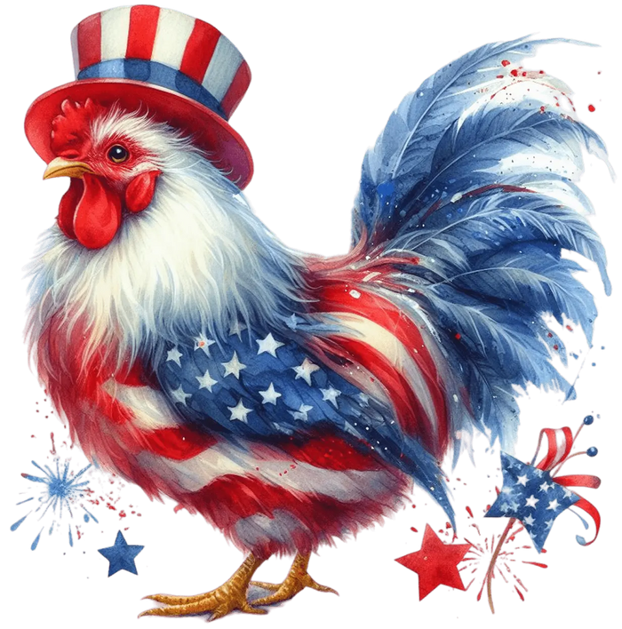4th Of July Chicken Design pressed on a garment