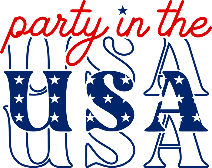 Party in the USA   V5 pressed on a garment